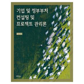 기업 및 정부부처 컨설팅 및 프로젝트 관리론
