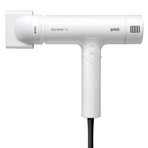 파테크 BLDC 헤어 전문가용 미용실 드라이기 NEO SENSE 1650W