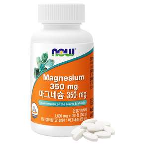 나우푸드 마그네슘 350mg