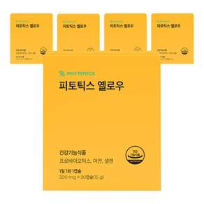 피토틱스 옐로우 유산균