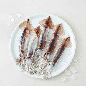 이프로마켓 동해안 생물 오징어 원물중량 1kg (냉장)