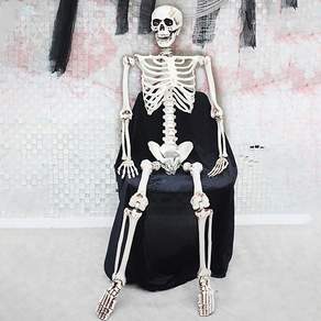 스투피드 대형 전신 리얼 해골 모형