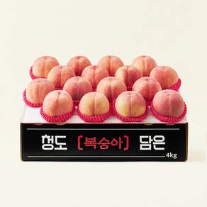 효성팜 아삭한 복숭아