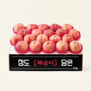 효성팜 아삭한 복숭아