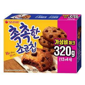 촉촉한초코칩