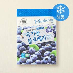 호재준 유기가공식품 인증 블루베리 (냉동), 500g, 1개