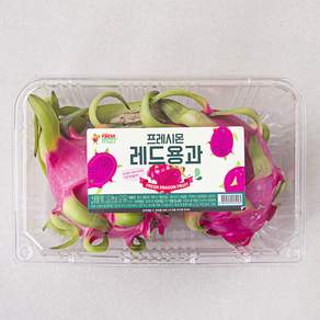 프레시몬 레드용과 2입