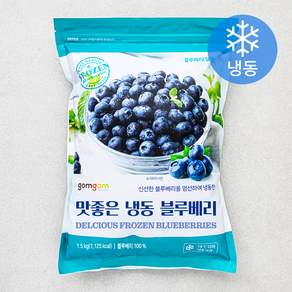 곰곰 칠레산 블루베리 (냉동)