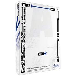 스트레이키즈 GO生 정규 1집 STANDARD VER 랜덤발송