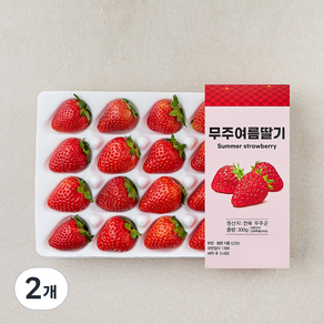 무주 여름 딸기, 2개, 300g(24과내)