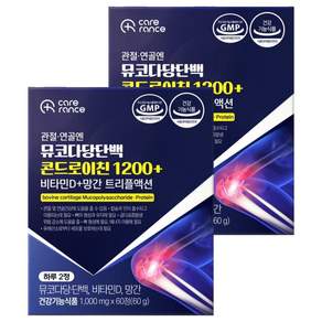 케어란스 관절 연골엔 뮤코다당단백 콘드로이친 1200+ 비타민D+망간 트리플액션 6g
