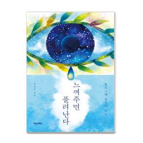 [정신세계사]느껴주면 풀려난다 : 홀로그램 현실의 비밀
