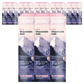 2080 퓨어치약 핑크마일드민트향