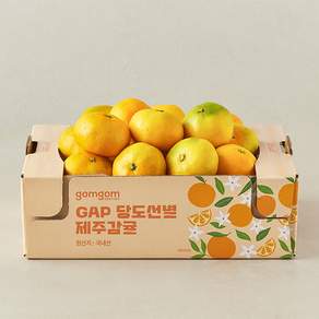 GAP 당도선별 제주감귤 로얄과