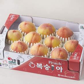 메이빌 GAP 인증 영동 부드러운 황도복숭아 9~12입