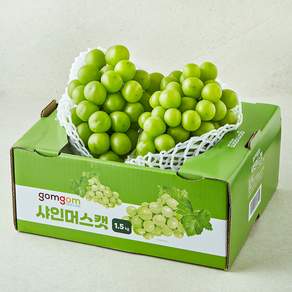 곰곰 당도선별 샤인머스켓