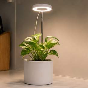 루아즈 도넛 LED 생장 식물등, 혼합색상