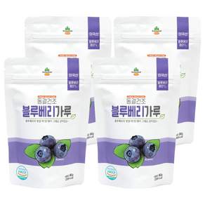 산마을 동결건조 블루베리가루