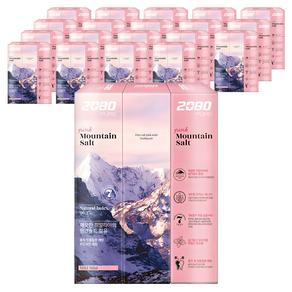 2080 퓨어치약 핑크마일드민트향