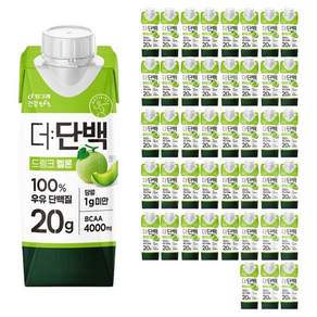 더단백 멜론