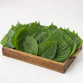 GAP 밀양 깻잎