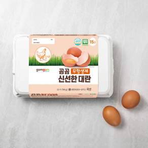 곰곰 무항생제 신선한 대란