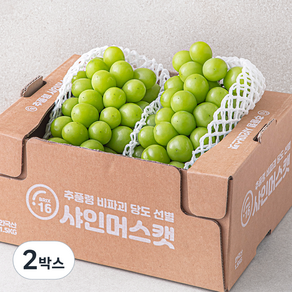 한반도 비파괴 당도선별 샤인머스켓