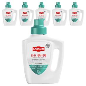 랩신 항균 세탁세제 솔잎향 본품