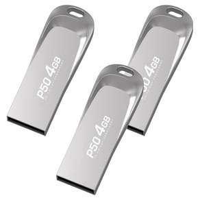 PLEIGO USB 메모리 P50