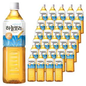 하늘보리