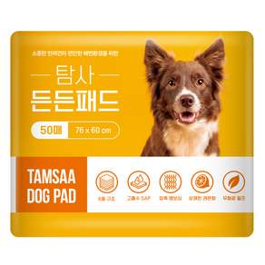 탐사 고흡수 든든패드 레몬향