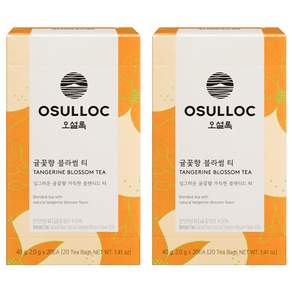 오설록 귤꽃향 블라썸 티