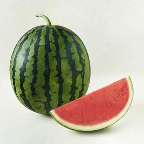 씨적은 11brix 수박, 5kg 이상, 1개
