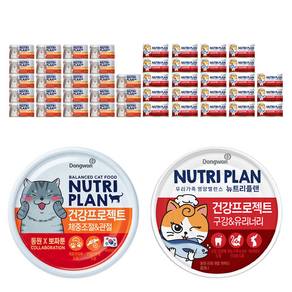 동원뉴트리플랜 고양이 뽀짜툰 건강 프로젝트 체중조절&관절 160g 24p + 구강&유리너리 160g 24p