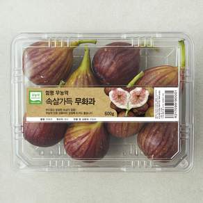 무농약 인증 함평 속살가득 무화과