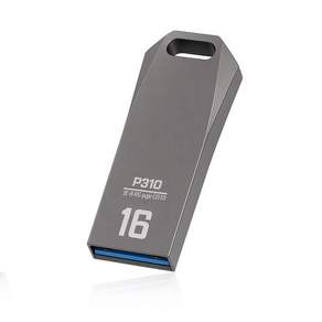 PLEIGO 코어 USB 3.2 Gen 1 메모리 P310