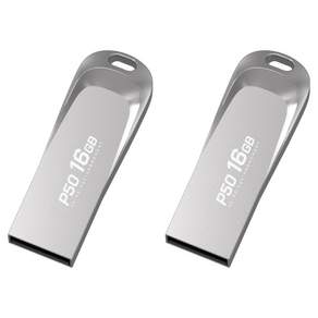 PLEIGO USB 메모리 P50