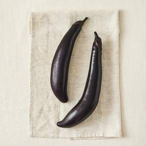 유기농 가지