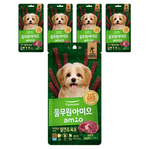 풀무원아미오 강아지 자연담은 간식 육포