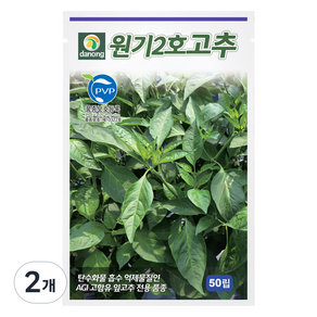 다농 원기2호 고추 씨앗 50p