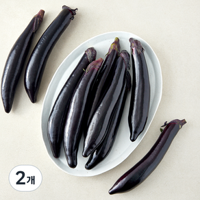 가지 1kg(6~10입)