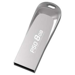 PLEIGO USB 메모리 P50