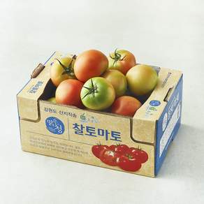 강원 맑은청 찰토마토