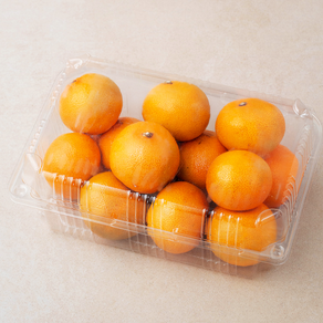 곰곰 당도선별 감귤, 1kg(로열과), 1개