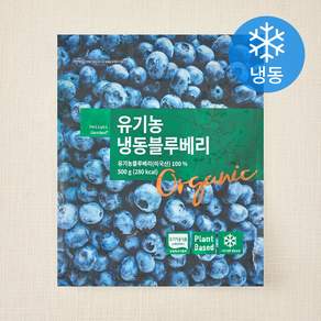딜라잇가든 유기가공식품 인증 블루베리 (냉동)
