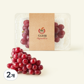 새벽에 고른 김희수 농부의 글로리스타
