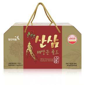 영진약품 산삼배양근골드