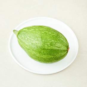 둥근 호박 대