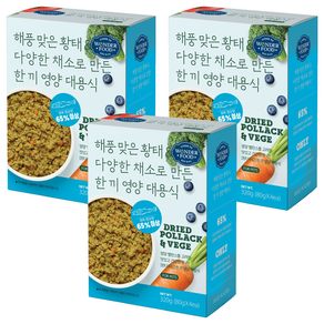원더푸드 전연령용 강아지 한 끼 영양 대용식 사료 4p
