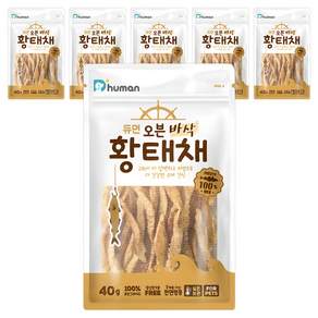 듀먼 강아지 오븐 바삭 저염 수제간식